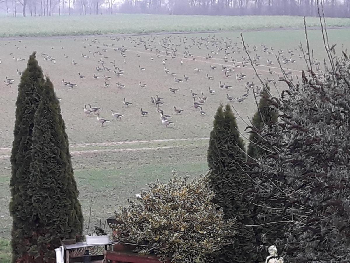 Niederrhein Blick Sonsbeck